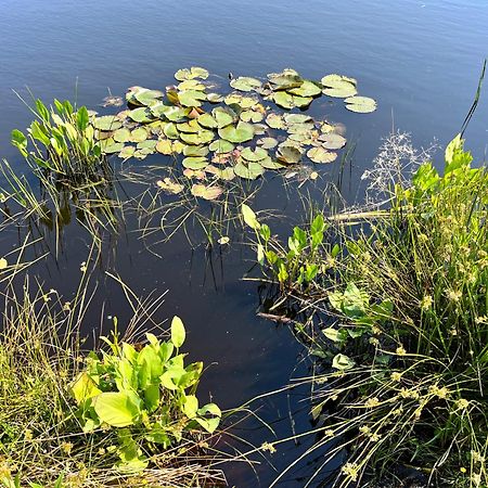 Landzicht Natuur Rust En Ruimte Oosterwolde  エクステリア 写真