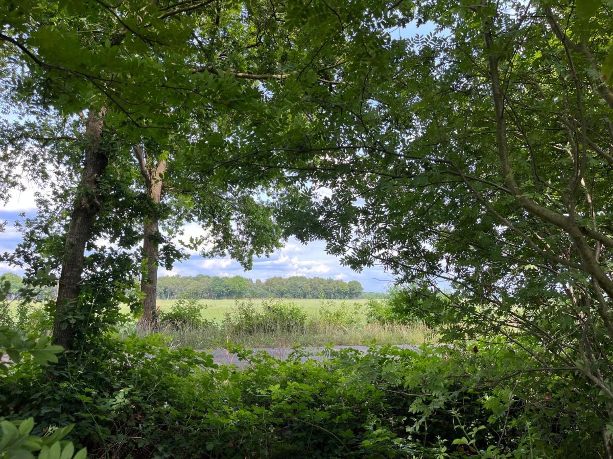 Landzicht Natuur Rust En Ruimte Oosterwolde  エクステリア 写真