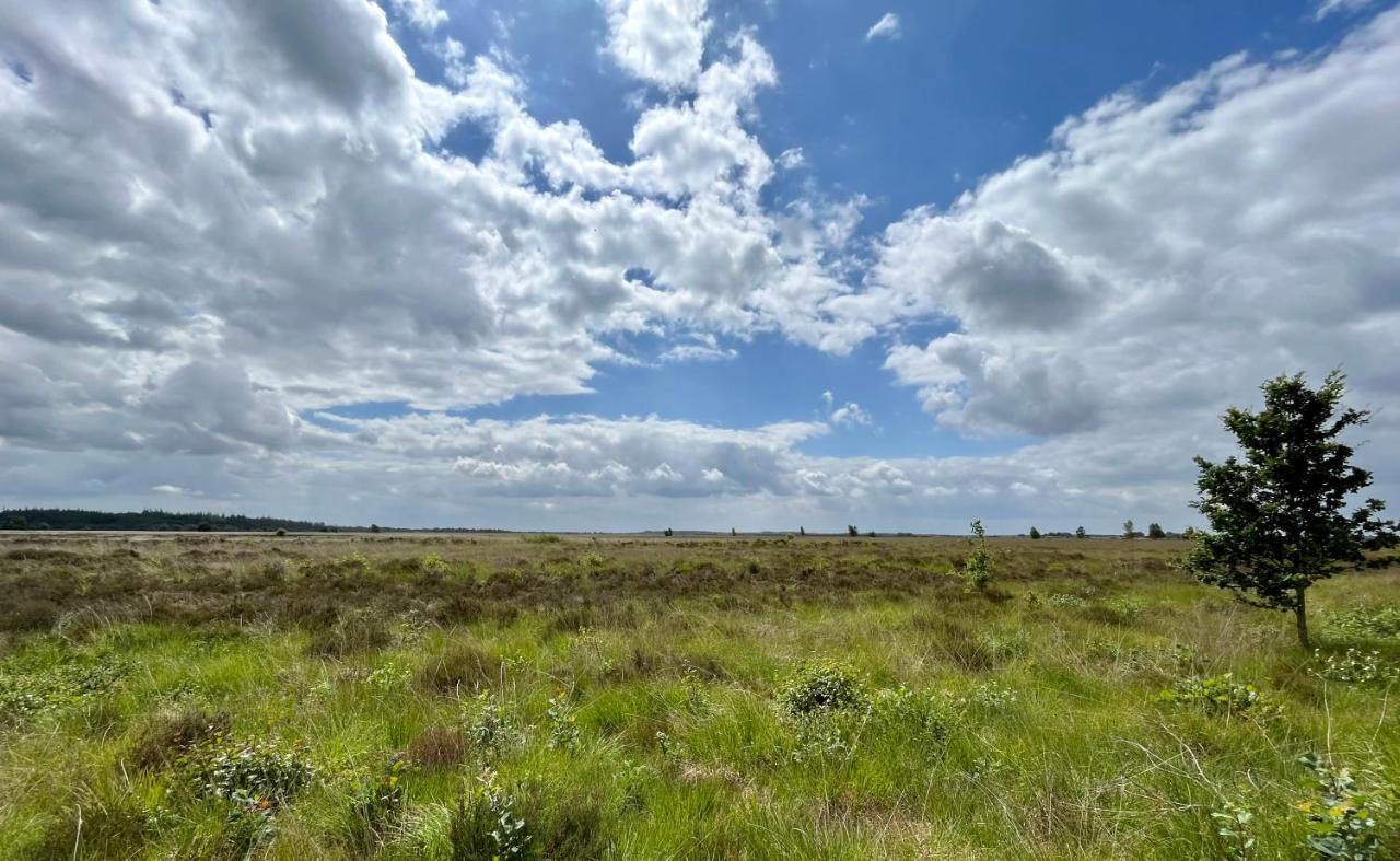 Landzicht Natuur Rust En Ruimte Oosterwolde  エクステリア 写真