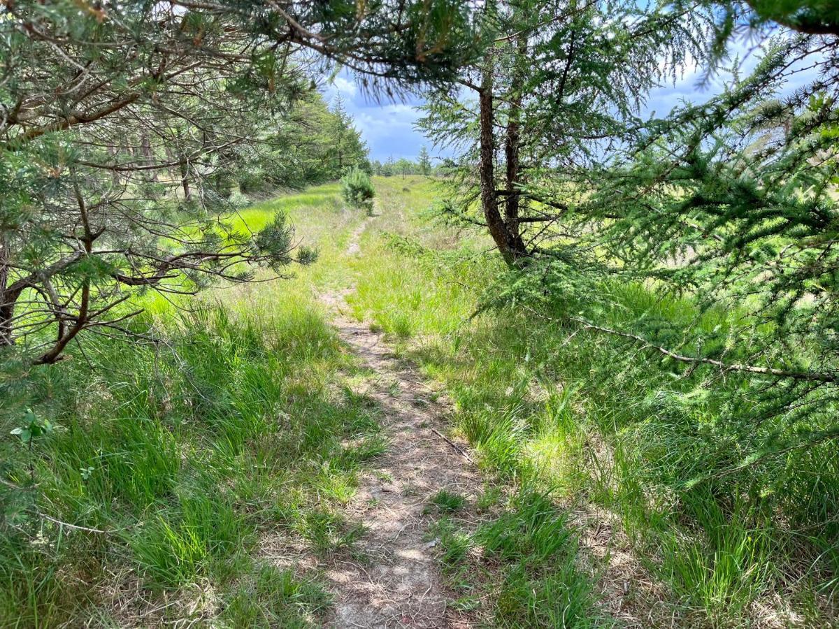 Landzicht Natuur Rust En Ruimte Oosterwolde  エクステリア 写真