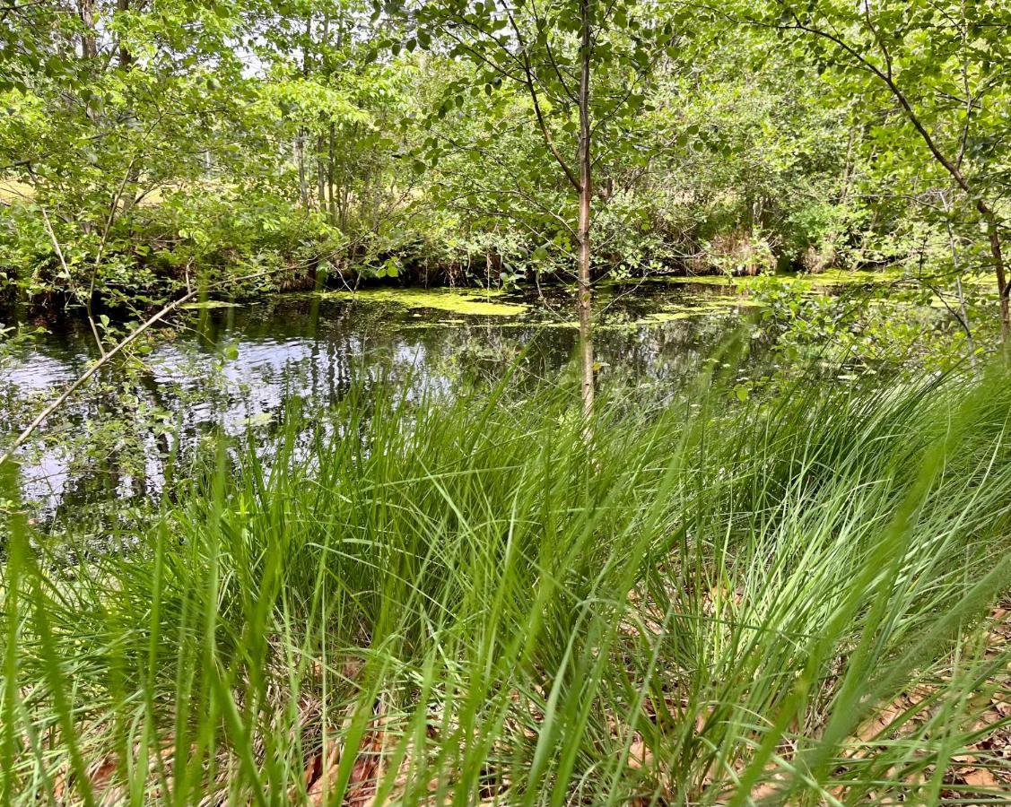 Landzicht Natuur Rust En Ruimte Oosterwolde  エクステリア 写真