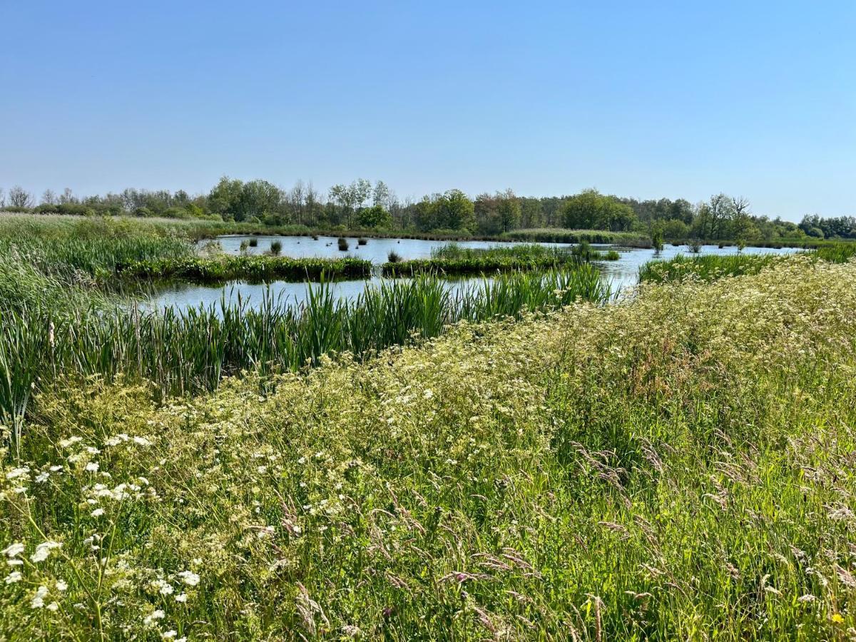 Landzicht Natuur Rust En Ruimte Oosterwolde  エクステリア 写真