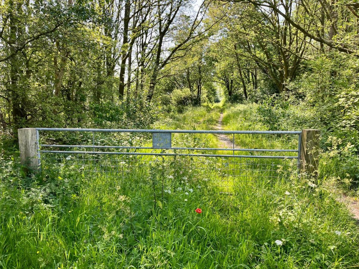 Landzicht Natuur Rust En Ruimte Oosterwolde  エクステリア 写真