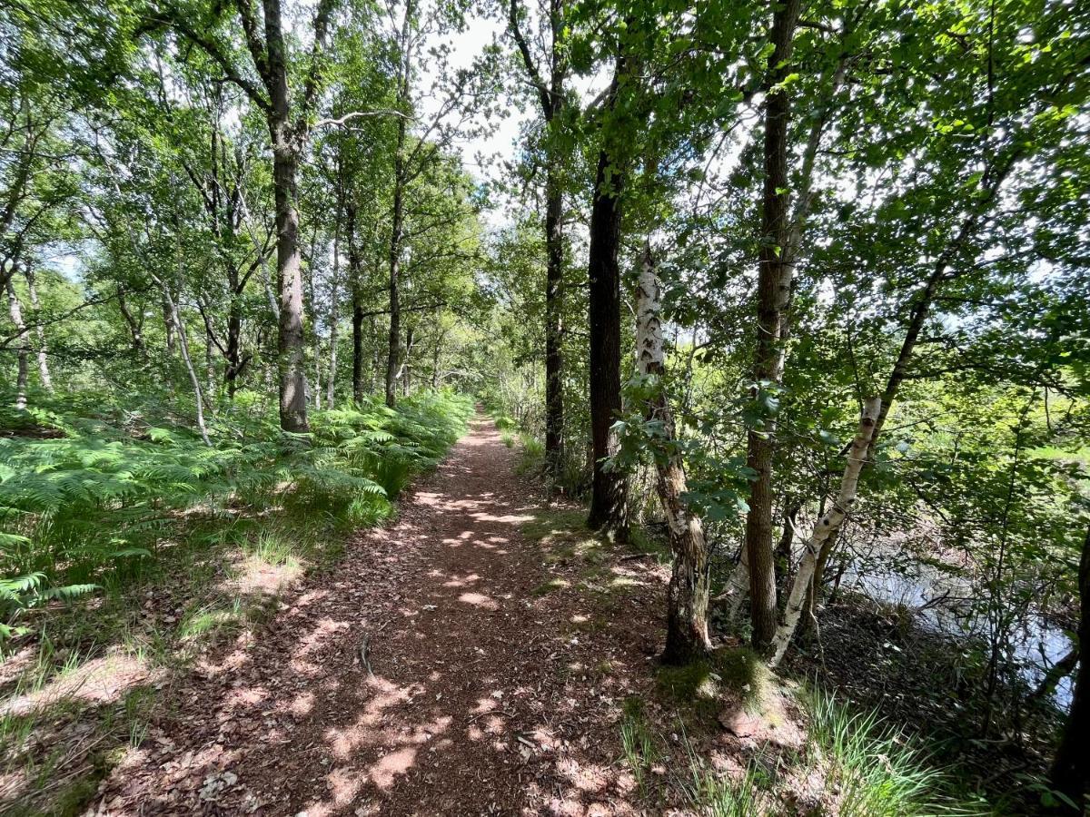 Landzicht Natuur Rust En Ruimte Oosterwolde  エクステリア 写真