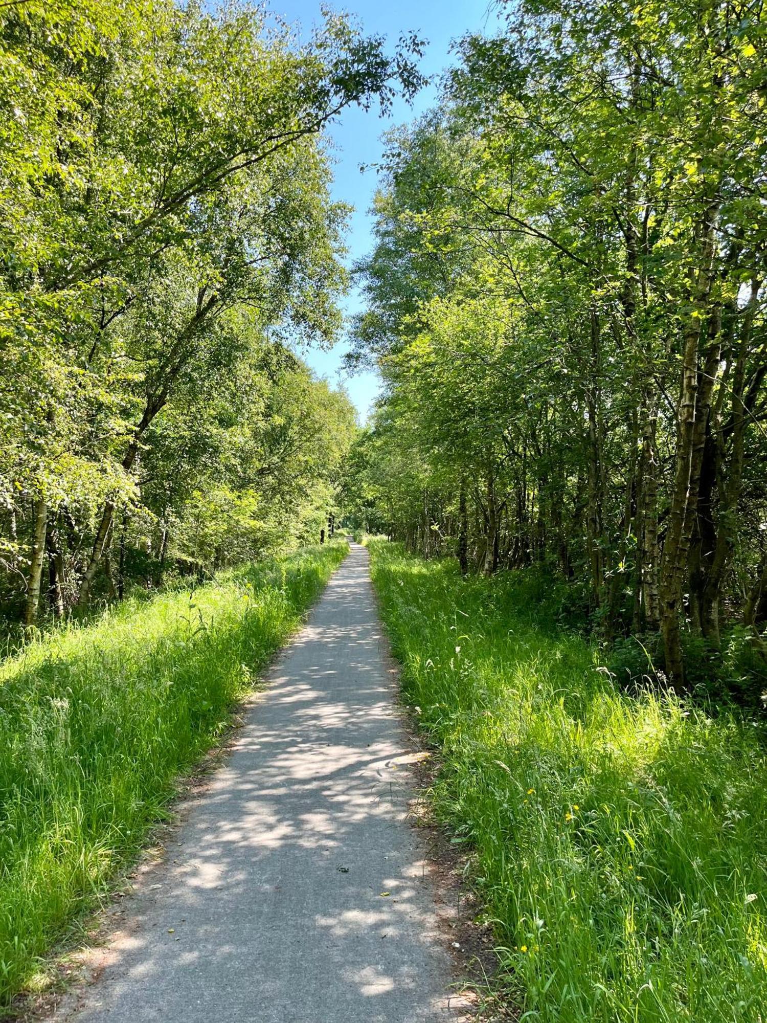 Landzicht Natuur Rust En Ruimte Oosterwolde  エクステリア 写真