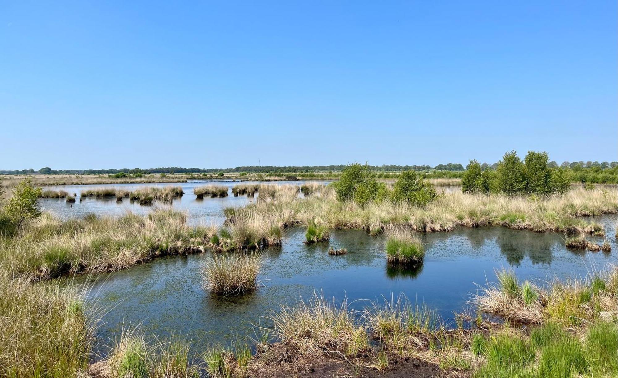 Landzicht Natuur Rust En Ruimte Oosterwolde  エクステリア 写真