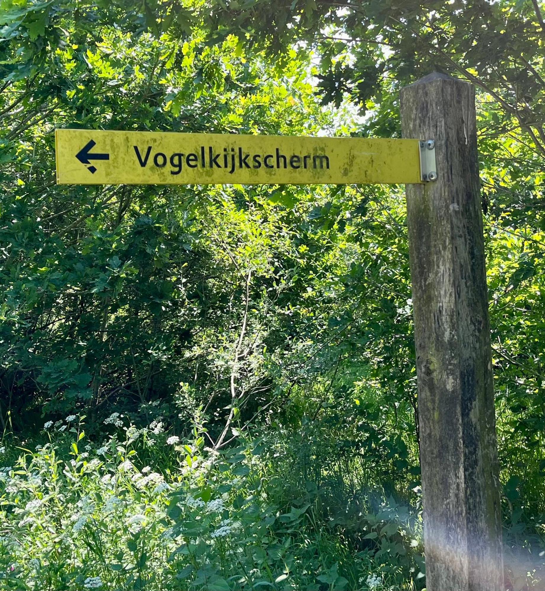Landzicht Natuur Rust En Ruimte Oosterwolde  エクステリア 写真