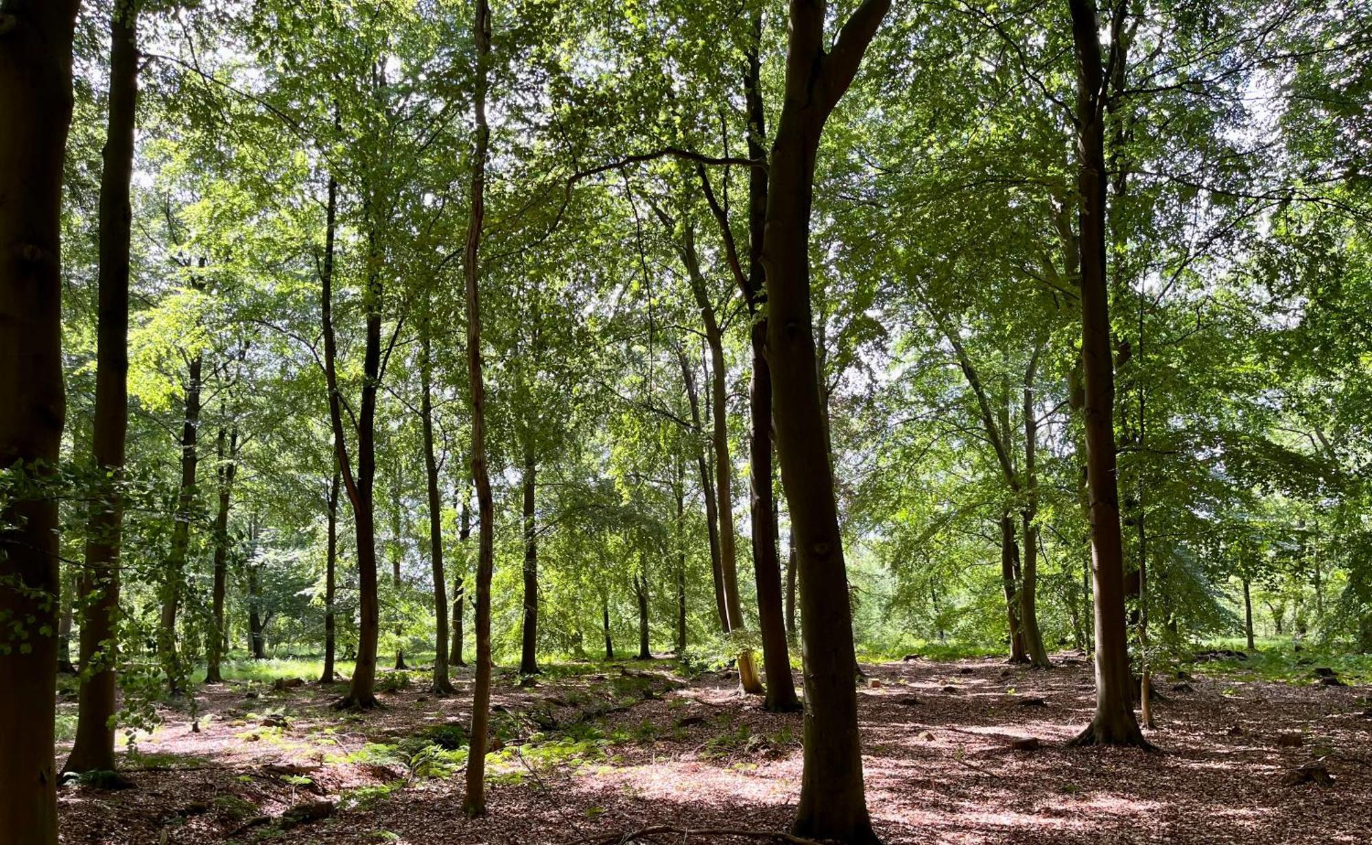 Landzicht Natuur Rust En Ruimte Oosterwolde  エクステリア 写真