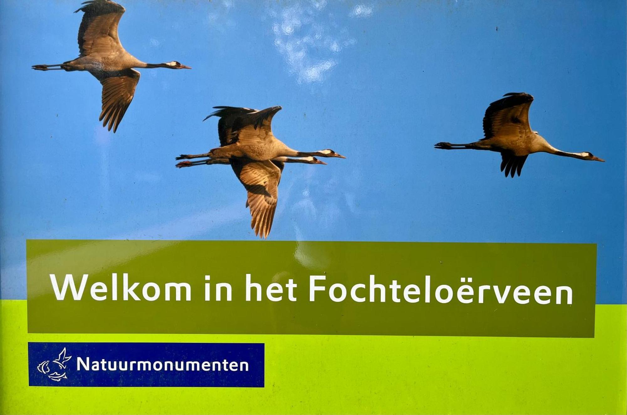 Landzicht Natuur Rust En Ruimte Oosterwolde  エクステリア 写真